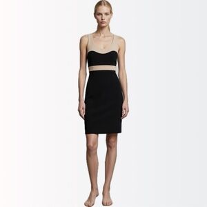 NWT Michael Kors Collection $1895 Runway Nude Illusion Bodycon Wool Dress 4